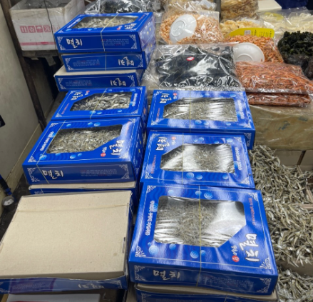 생방송투데이 포항 과메기