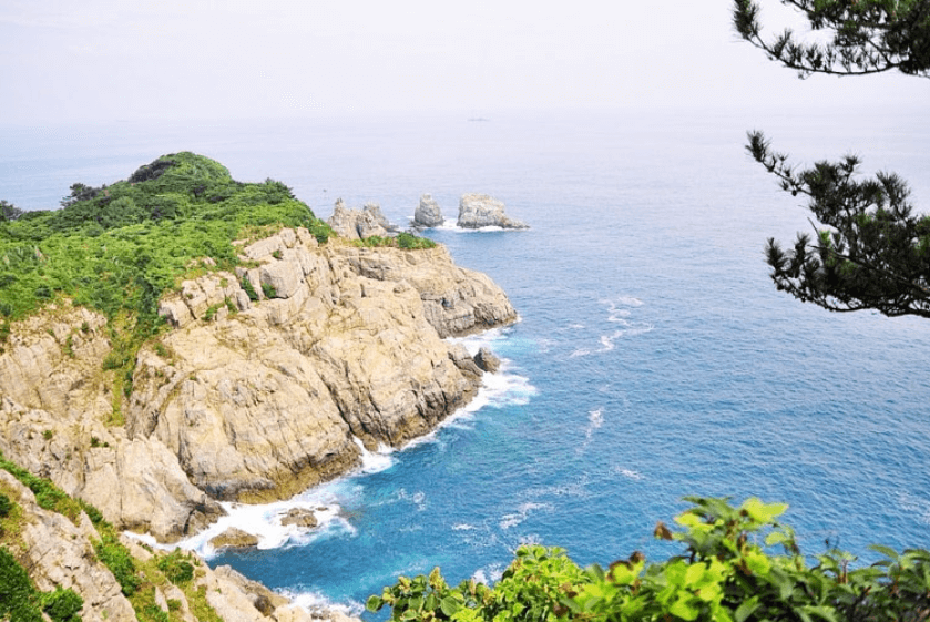 경남-거제-외도-보타니아