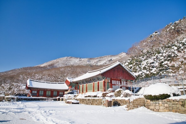 전라도 겨울 트레킹 명소 BEST 5, 남도에서 만나는 고요한 숲길 여행