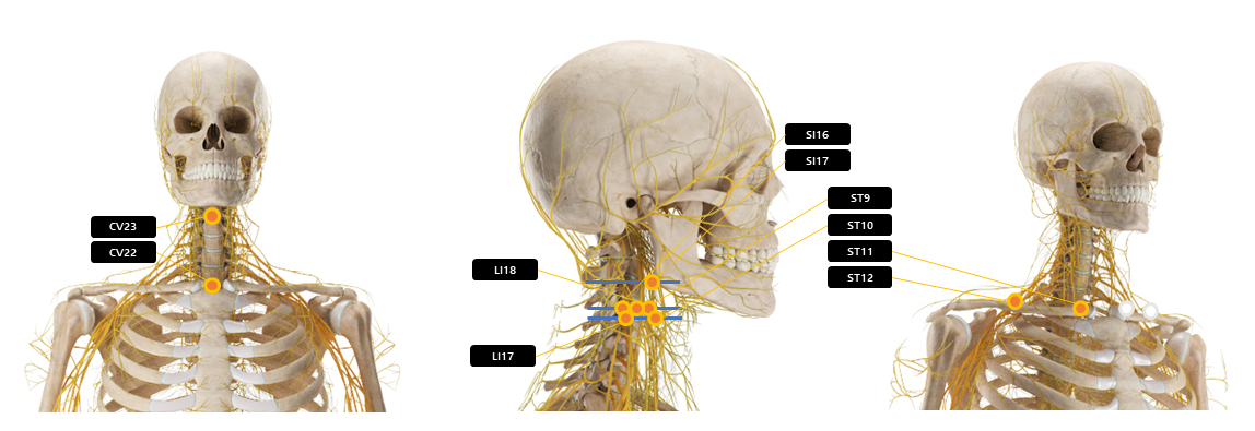 목 주변 혈자리 요약