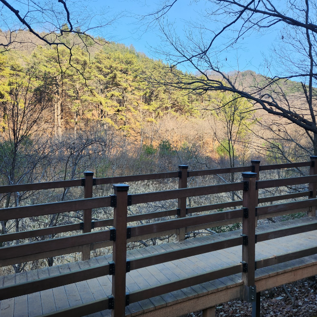 계족산 황톳길3