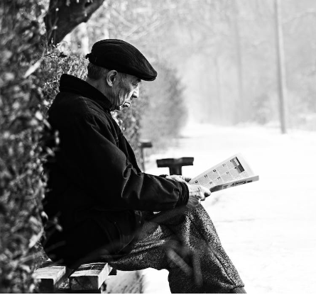 치매 등급 판정