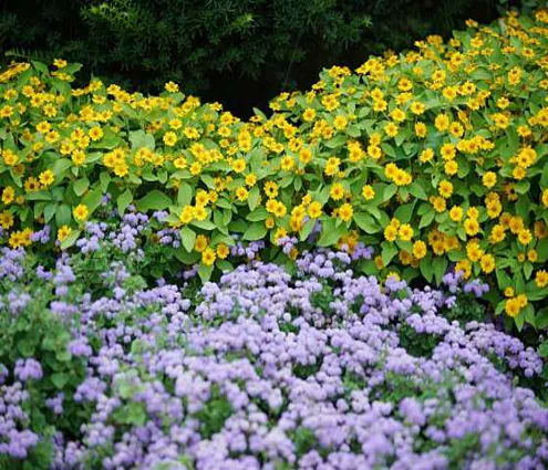 신구대학교식물원