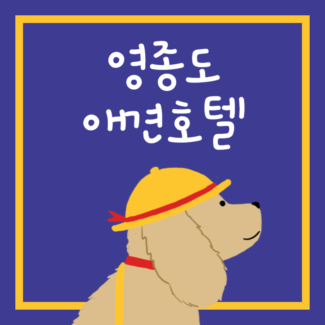 영종도 애견호텔