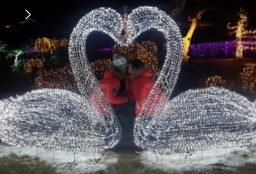 365일 빛축제 가을에 꼭 가봐야할 빛축제 BEST 5