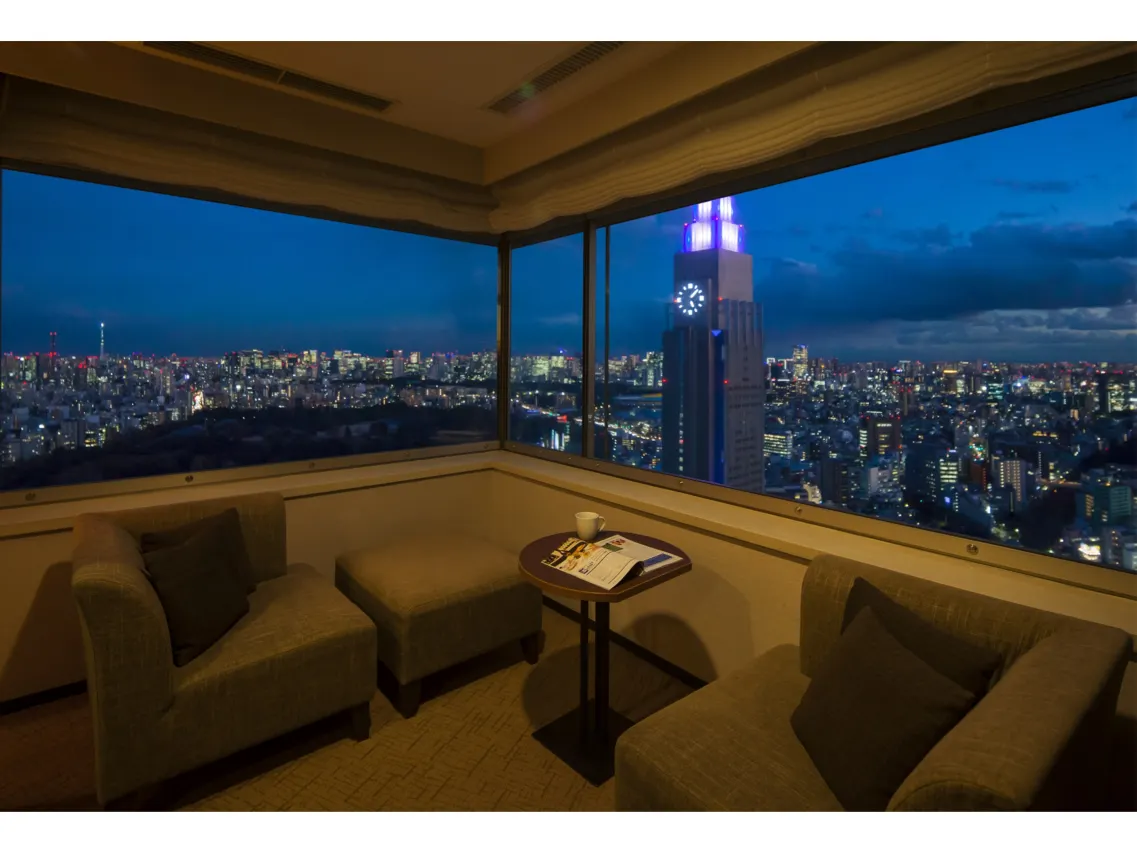 오다큐호텔센츄리서던타워(2)