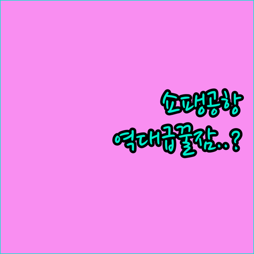 쇼팽 공항 경유 여행객을 위한 주변 ..