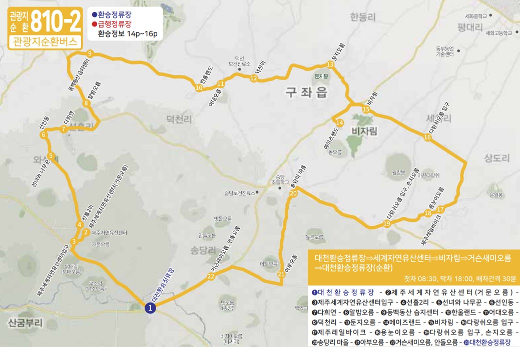 제주도 버스노선 - 관광지순환버스 810-1, 810-2, 820-1, 820-2, 820-3, 서귀포시티투어880, 심야버스3001, 3002, 3003, 3004, 3005, 3006, 3007, 3008