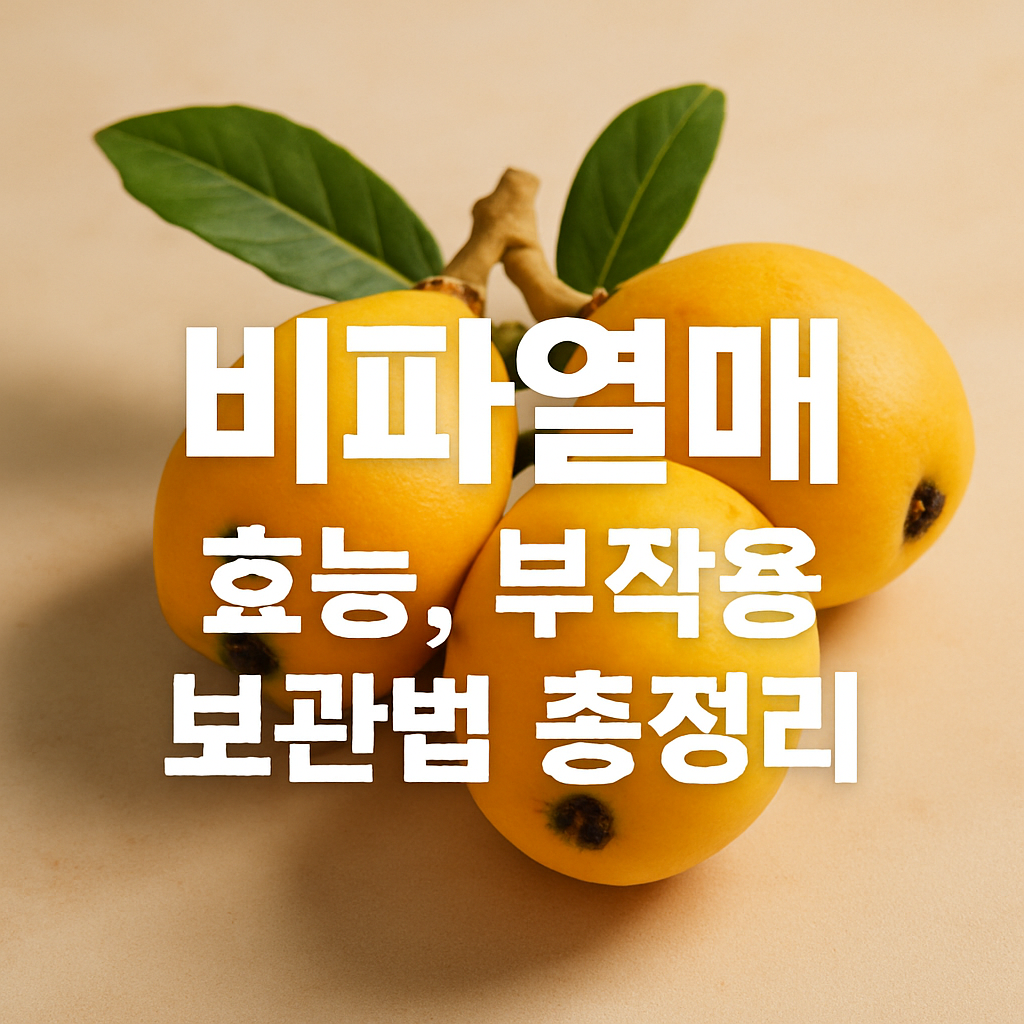 비파열매(로쿠스프루트) 효능, 부작용, 보관법 총정리 썸네일