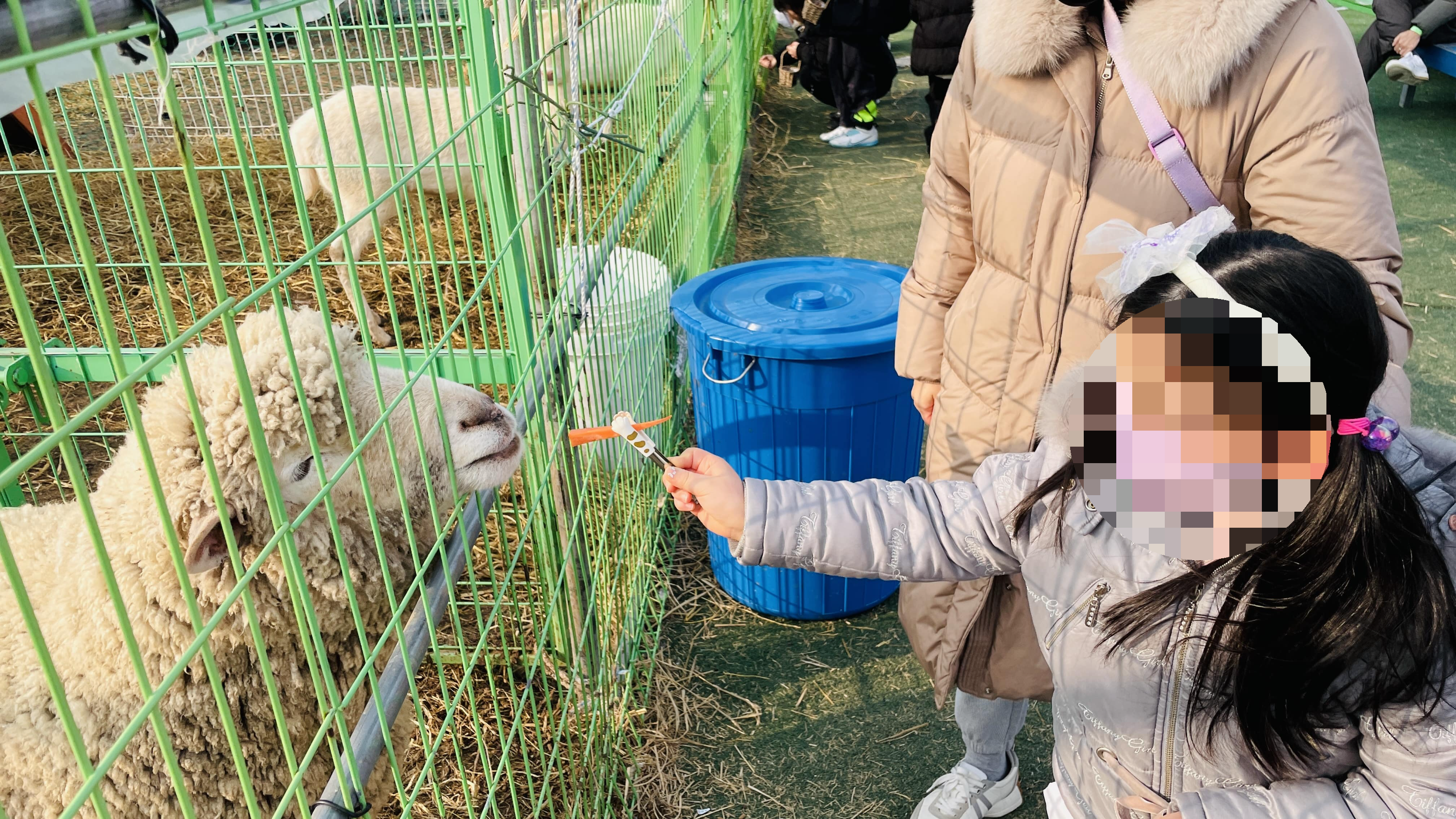 동물먹이주기체험