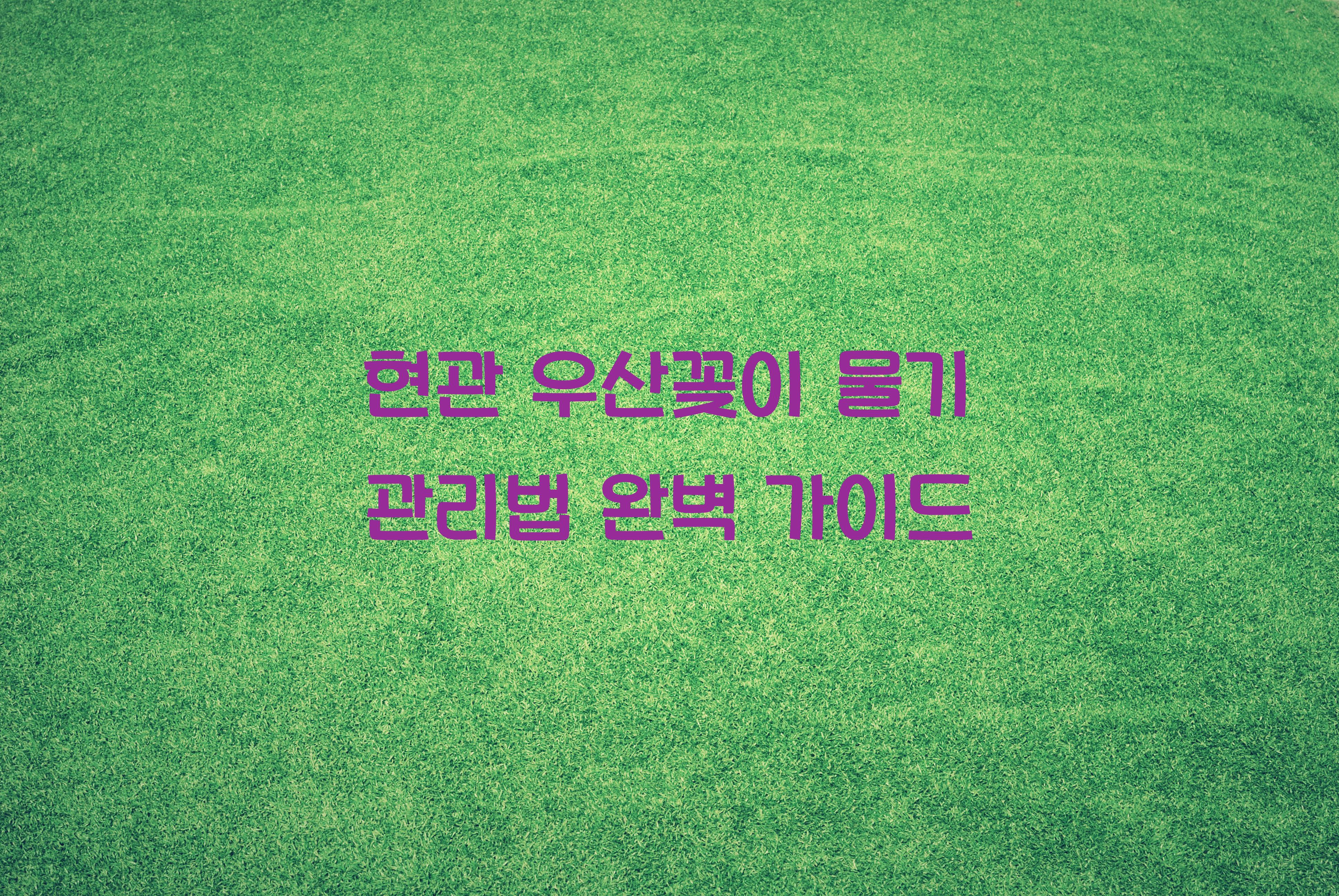 현관 우산꽂이 물기 관리법