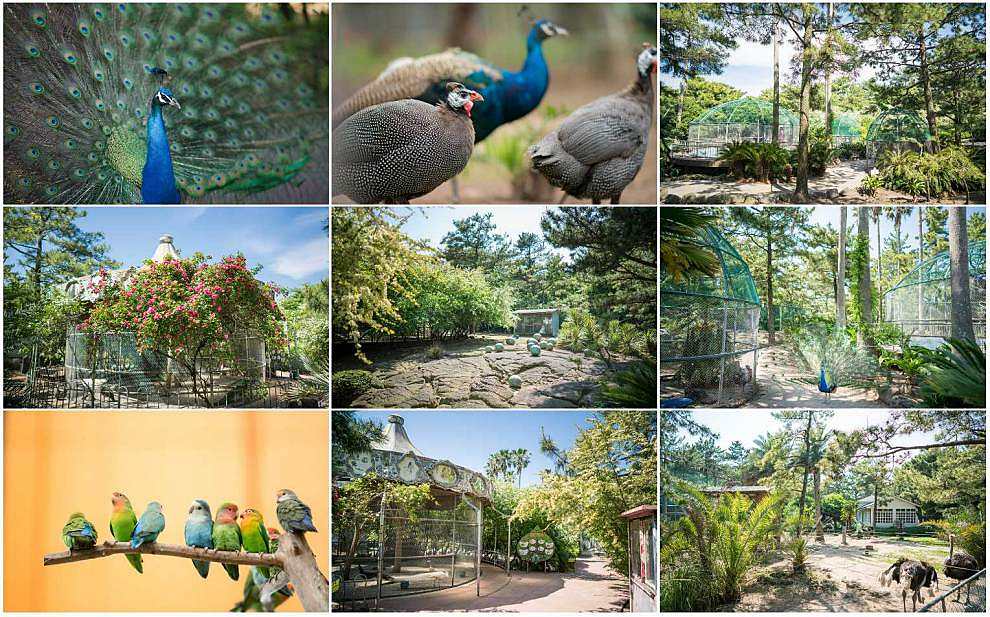 제주 한림공원 수국축제