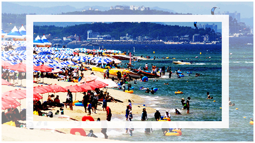 2020년도의 삼복인 초복, 중복, 말복의 날짜와 그 의미에 대해서 설명하는 이미지