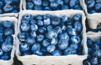블루베리