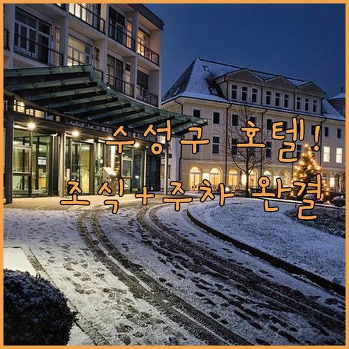 수성구 비즈니스 호텔 추천 및 주차 ..