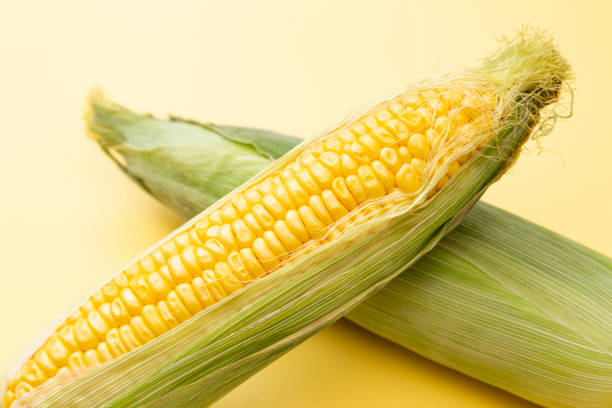 옥수수 수염차 효능