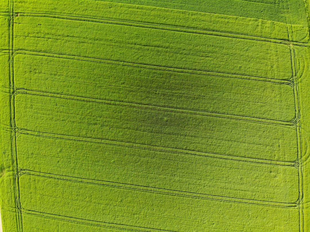 Green.