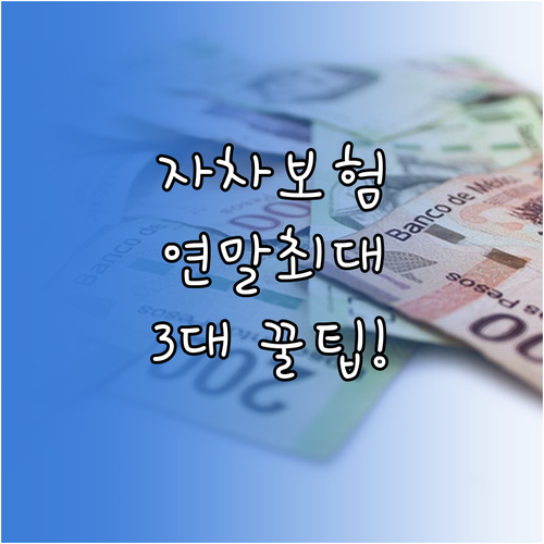 자동차보험 필수 확인 연말 최대 할인..