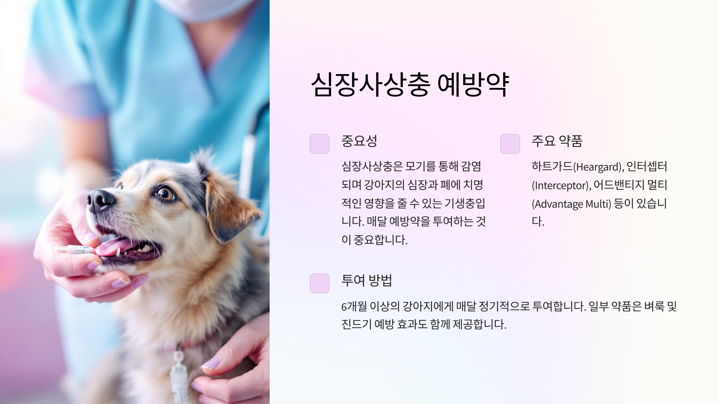 심장사상충 예방약