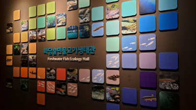 단풍명소_화담숲_자연생태관