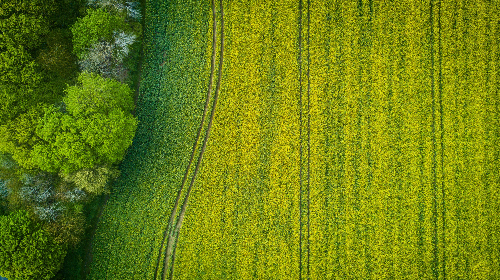농어촌 기본소득 시범지역 선정&amp;#44; 사업 신청방법 총정리