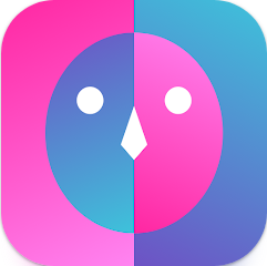 얼굴형 분석 앱, 황금 비율 점수 알아보기, 나와 닮은 유명인이나 연예인을 찾아보기