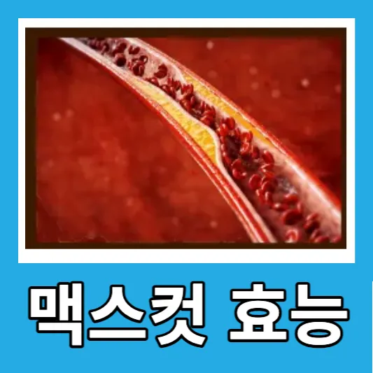 맥스컷 버닝의 주요 성분 및 효능