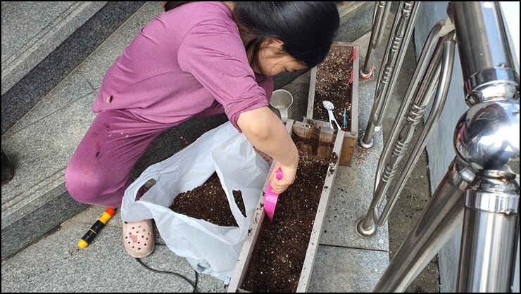 기존-화분의-흙을-퍼나르는-사진