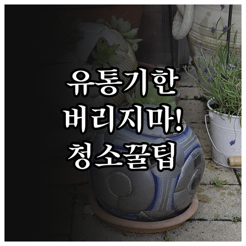 유통기한 지난 바디워시 청소 세제로 ..