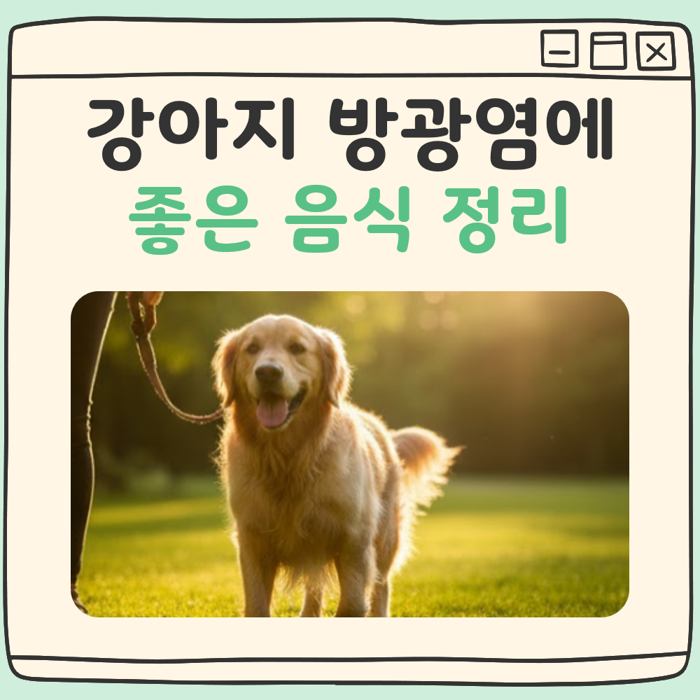 강아지 방광염에 좋은 음식 대표 이미지