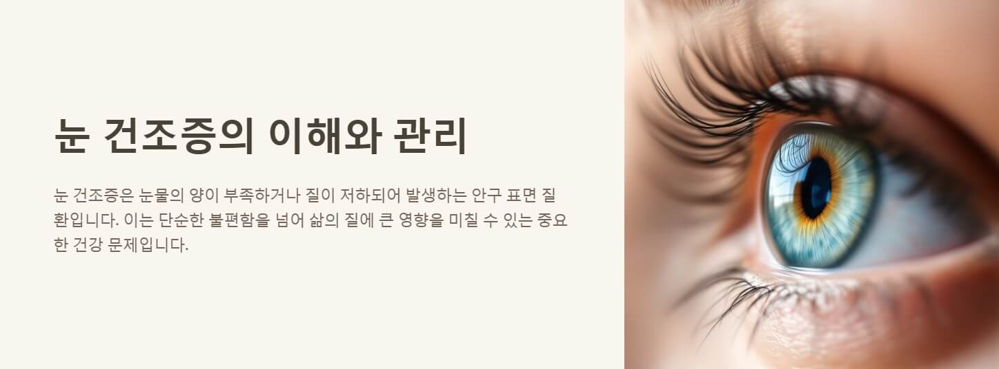 눈 건조증 증상 원인 치료