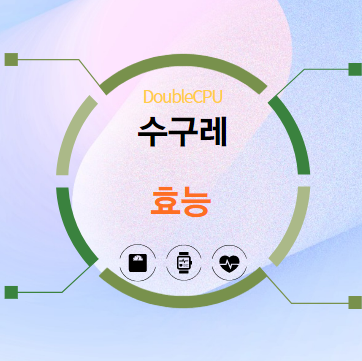 수구레 5가지 효능