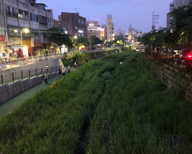 성북천 산책로의 해가 진 이후의 더 포근한 풍경