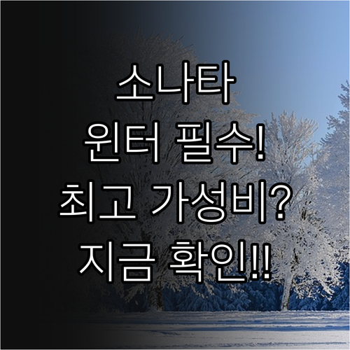 소나타 오너를 위한 윈터 타이어 최고..