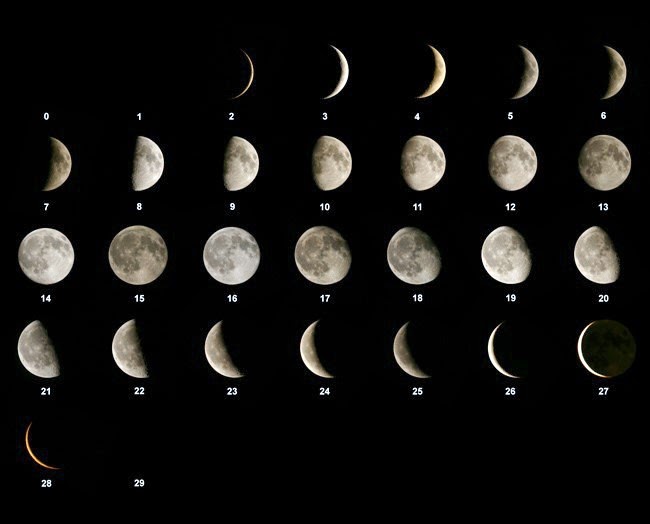 날짜별 상현달 하현달 그외 달모양의 변화