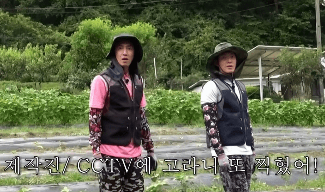 콩콩팥팥 고라니 출현