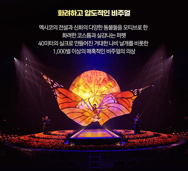태양의 서커스 루치아 부산 공연 좌석 예매 꿀팁