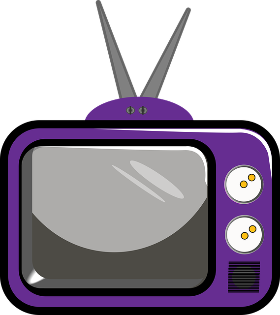 대통령선거 TV토론 일정