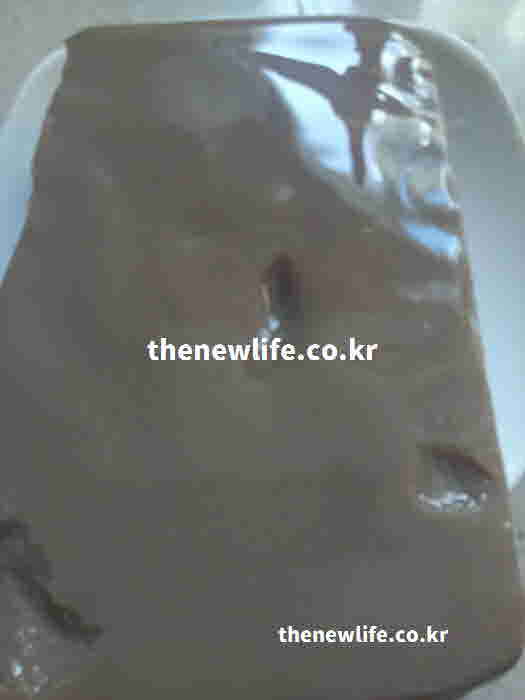 도토리묵 효능 변비
