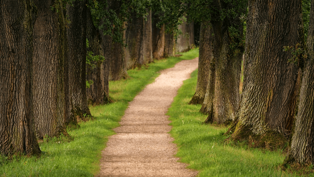 특가 항공권, 지금이 기회! 관련사진