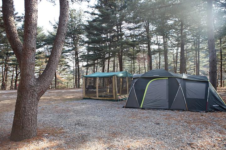 힐링별밤수목원캠핑장 소개