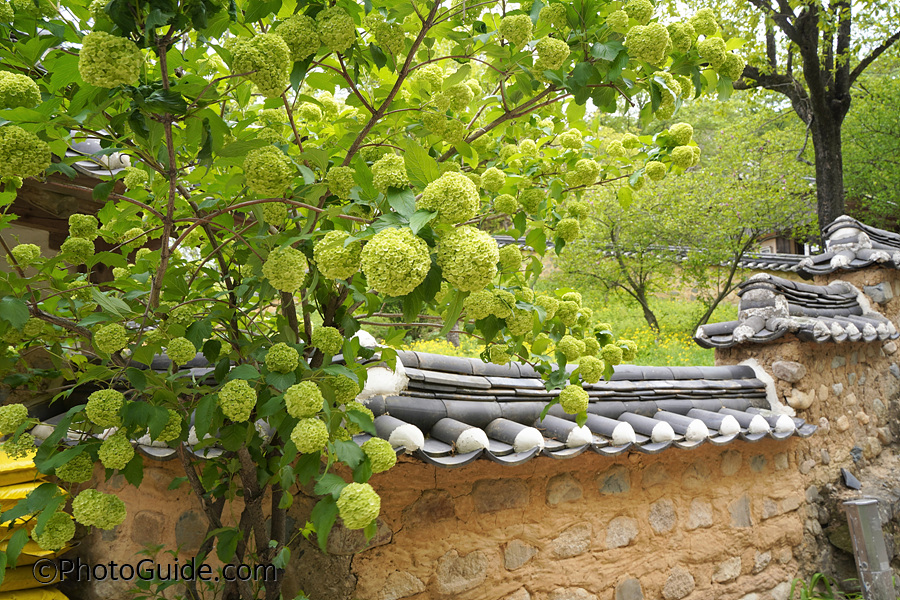한국의전통_담벼락