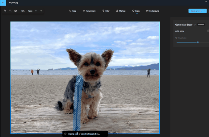Photos 앱에서 제공되는 새로운 Generative Erase 기능을 소개(이미지출처-theverge)