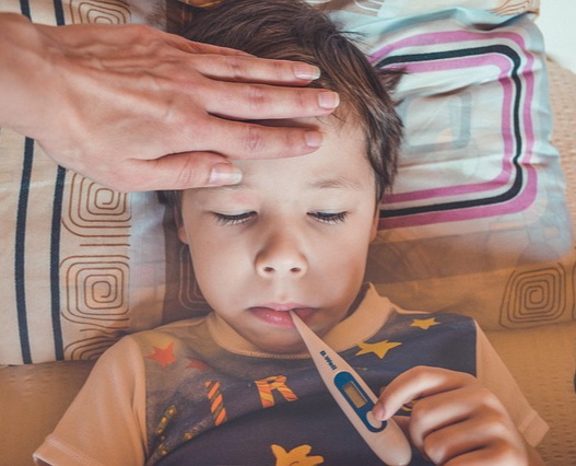 독감예방접종 시기 무료대상 날짜