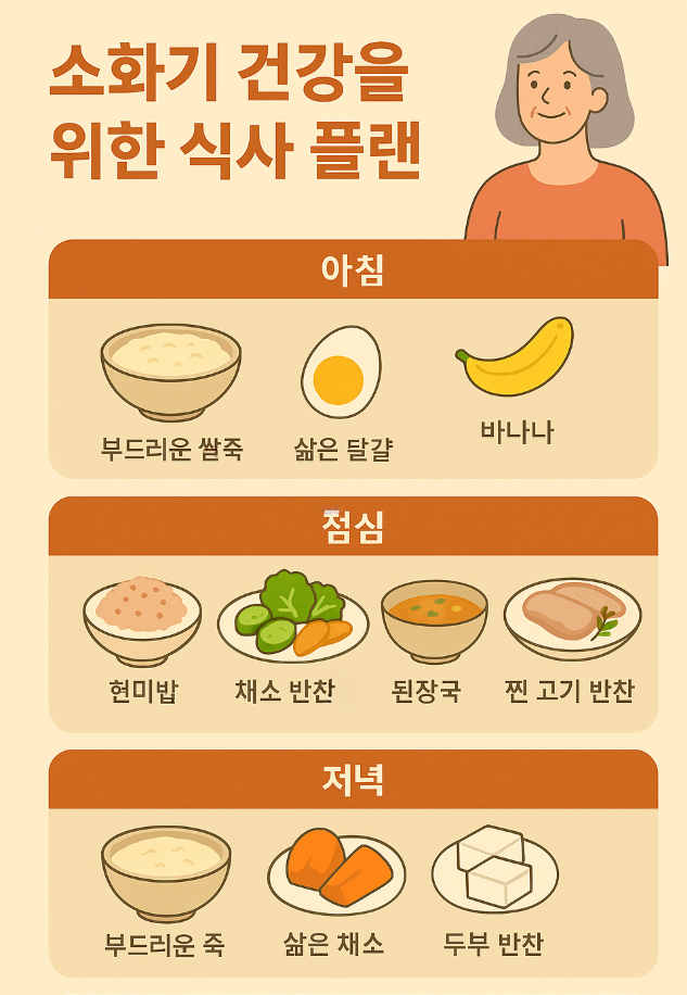 🌿 노화에 따른 소화기계 질환, 예방이 답입니다 – 중년 건강 지키는 소화기 관리법