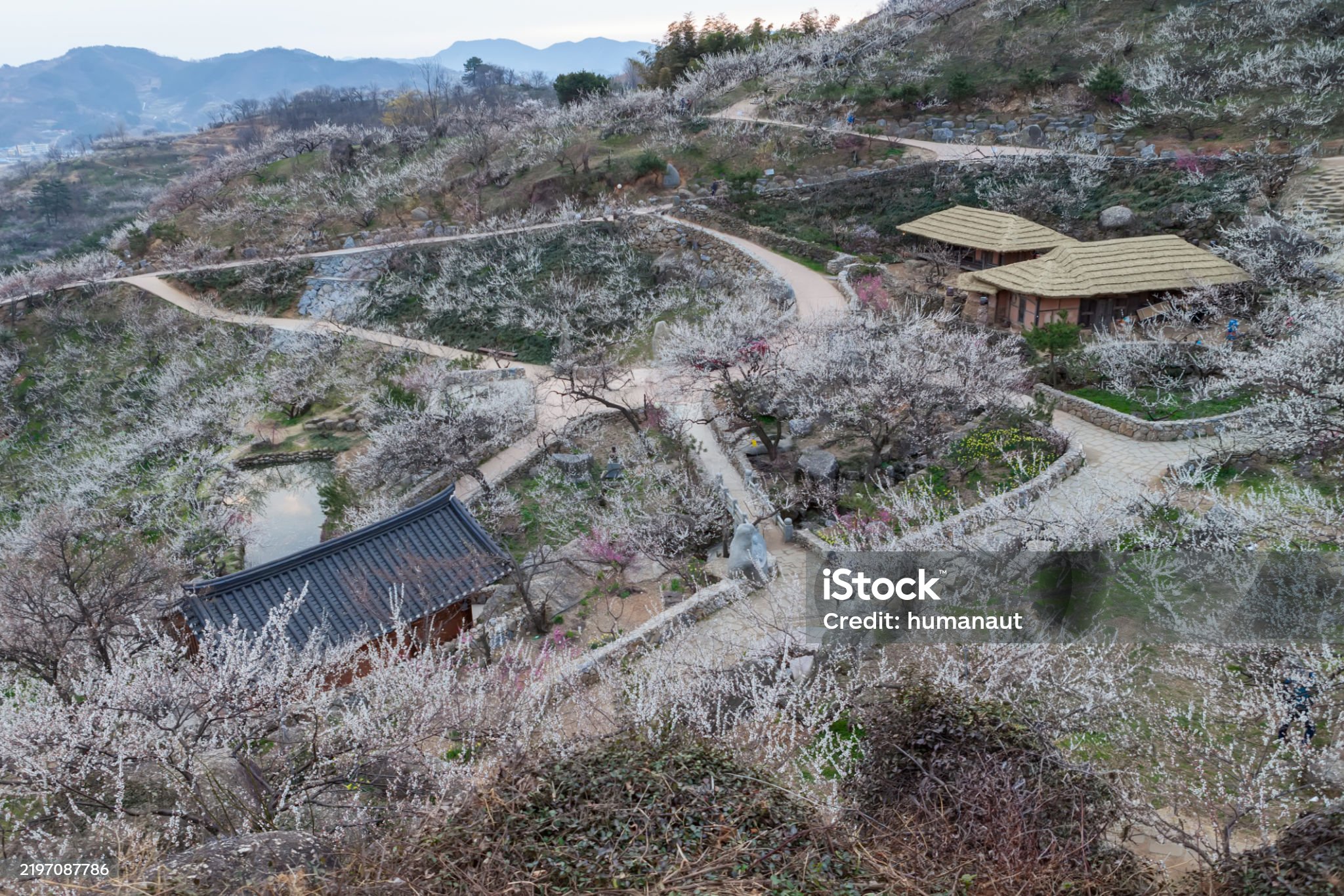 전남 여행 - 광양