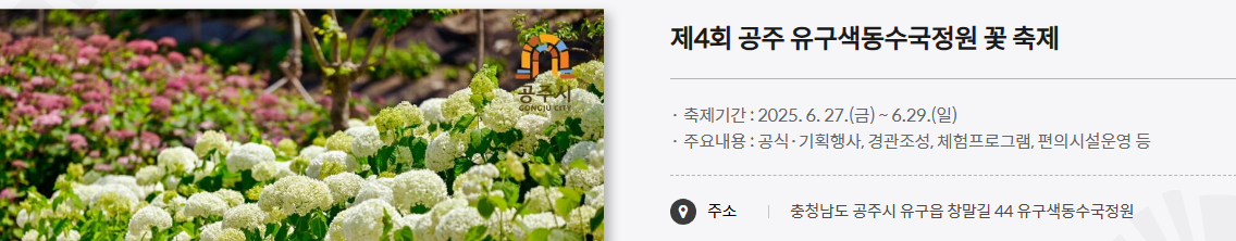 축제 안내 정보