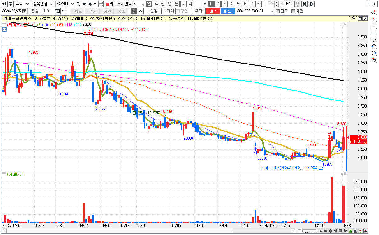 비대면 진료 관련주 대장주 라이프시맨틱스 주식 차트