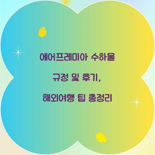 에어프레미아 수하물