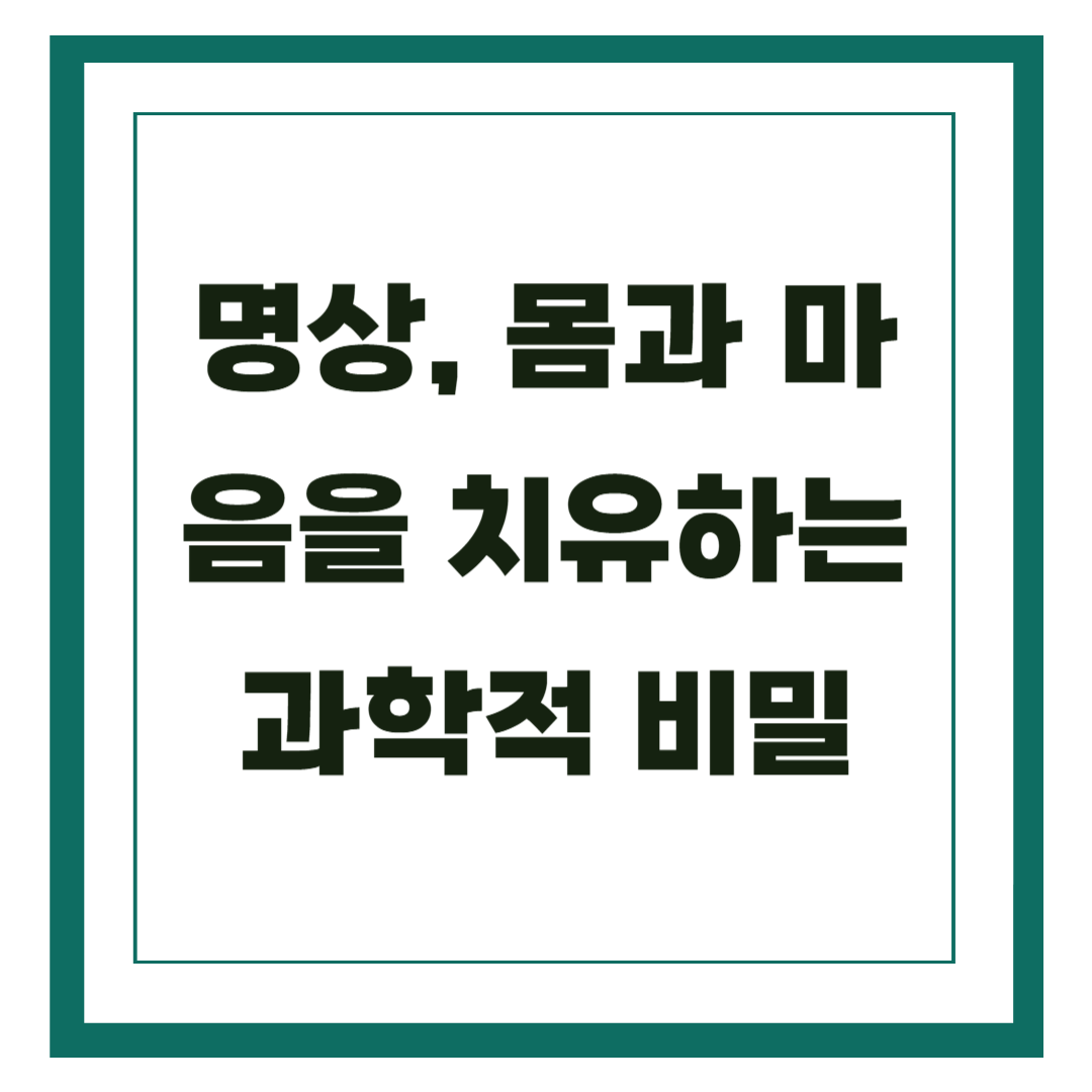 명상, 몸과 마음을 치유하는 과학적 비밀
